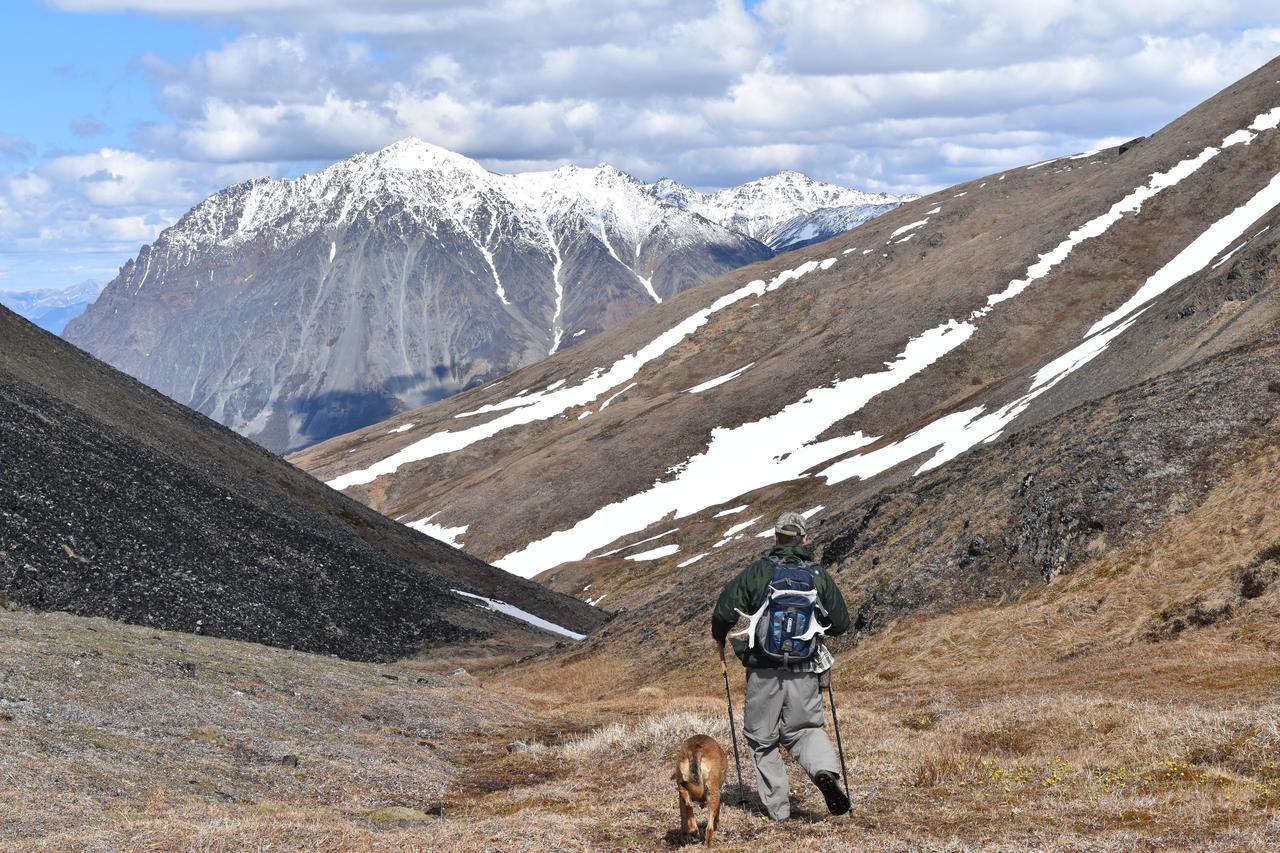 Backwoods Lodge Cantwell Eksteriør bilde