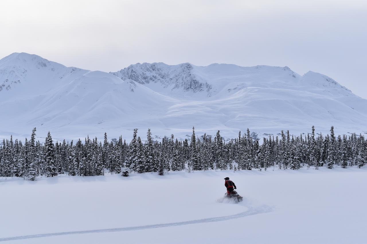 Backwoods Lodge Cantwell Eksteriør bilde