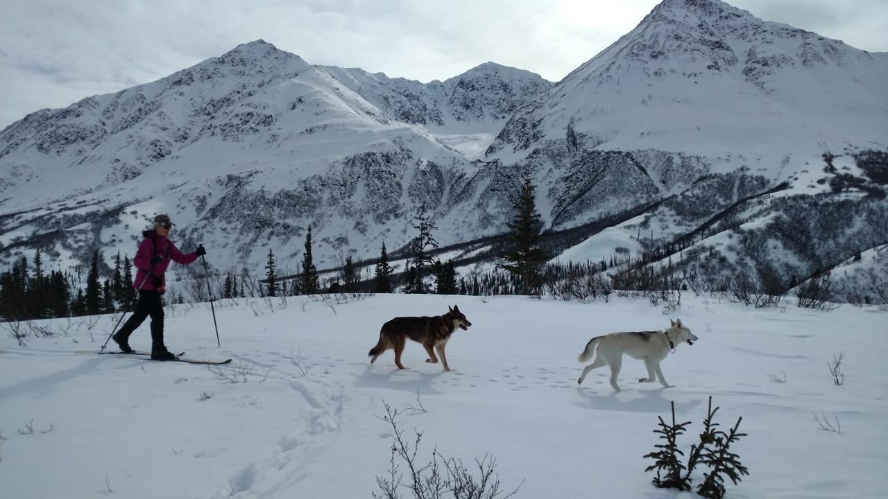 Backwoods Lodge Cantwell Eksteriør bilde