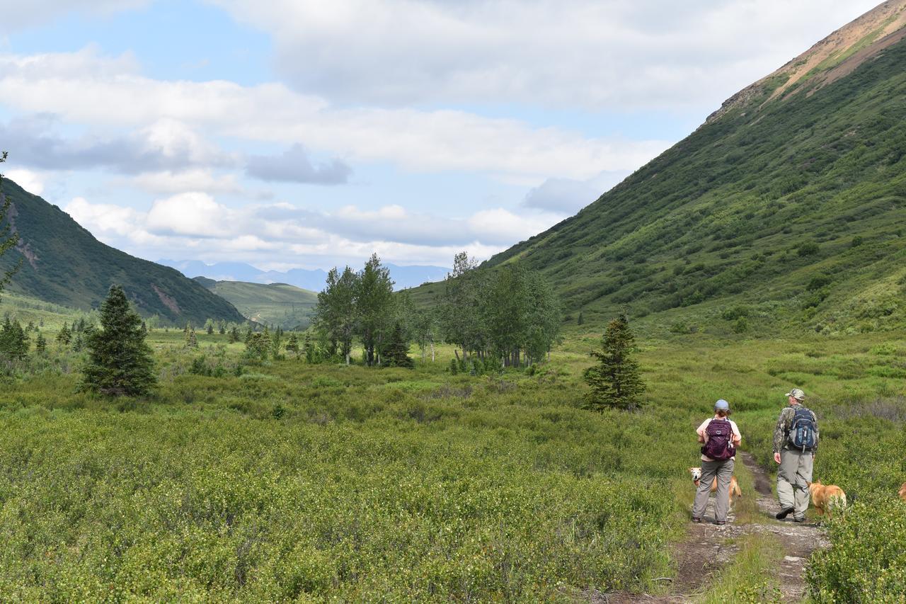 Backwoods Lodge Cantwell Eksteriør bilde